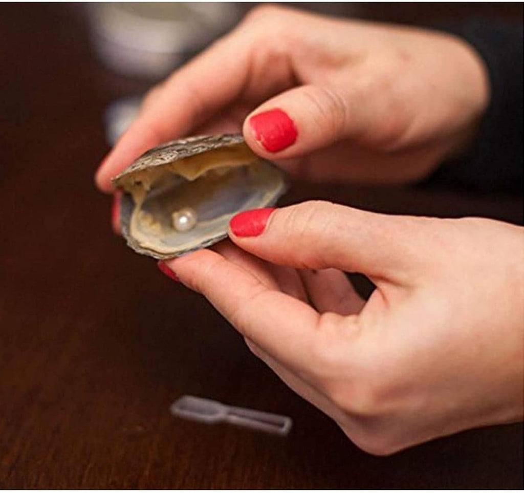 Freshwater Shell Canned Oyster Ocean Love Real Pearl Necklace Set