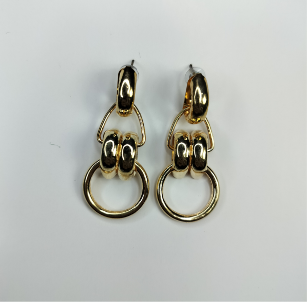 NeoLux Ring Linked Chain Earrings Combo - Modern Elegance in Multiple Finishes