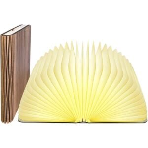 Anwick Lamp Book Mood Light